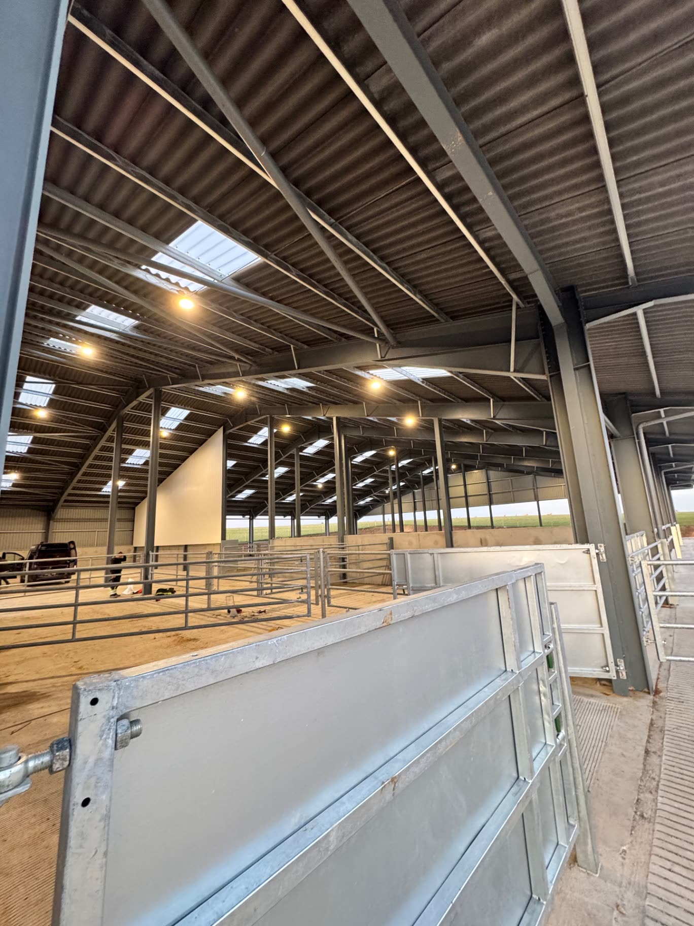 Interior view through the cattle handling gates showing the roof structure, skylights and lighting