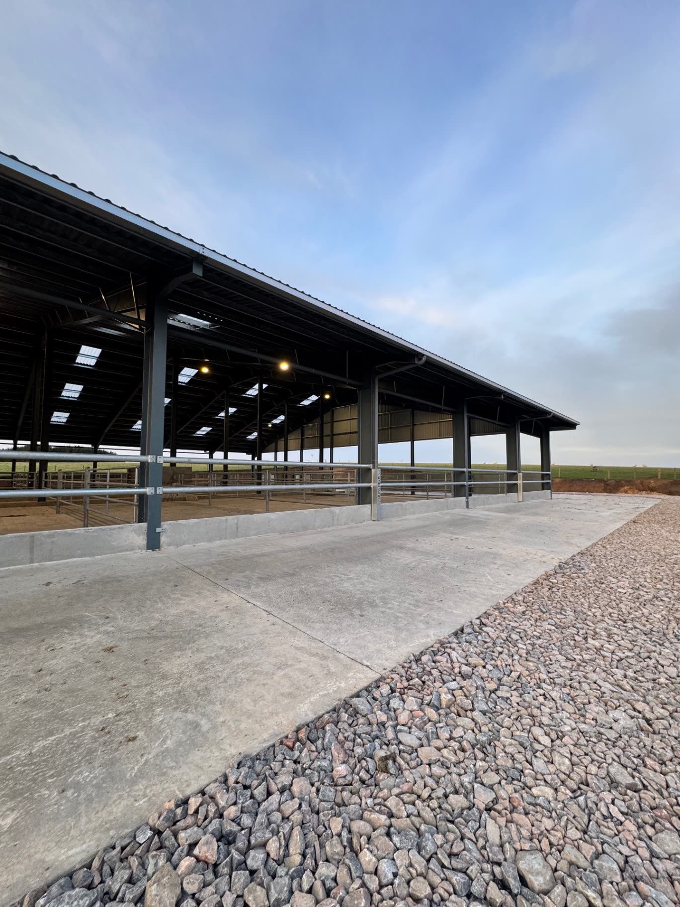 Steel-framed cattle building with concrete apron set in open agricultural landscape