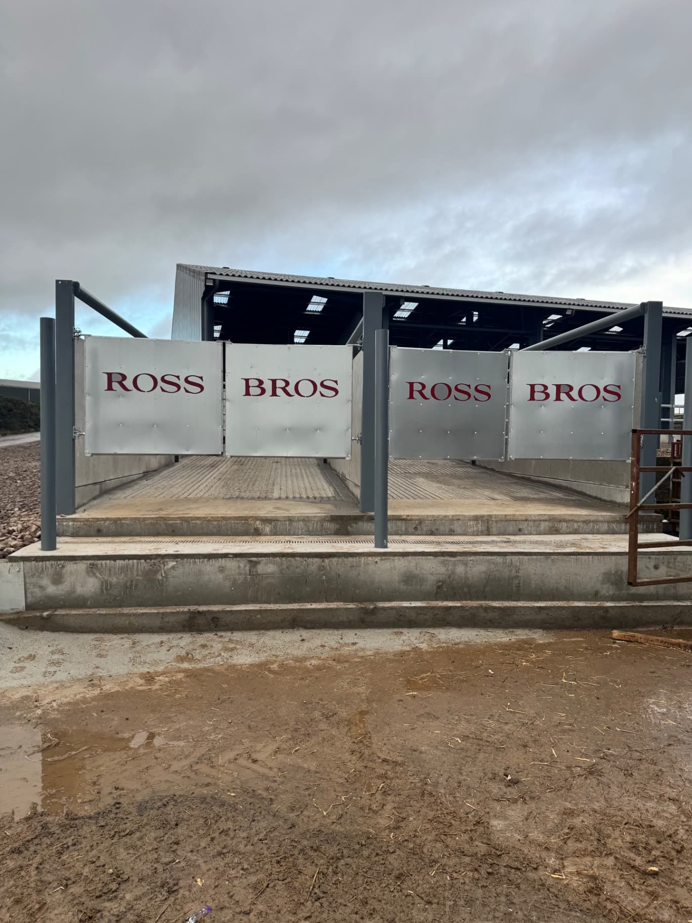 Ross Bros lettering on silver cattle handling gates inside the building, with concrete channels